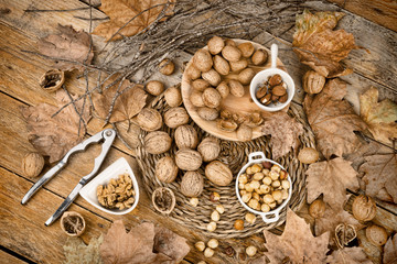 Autumn nuts