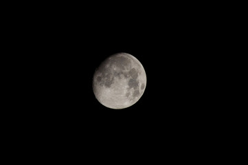 Mond