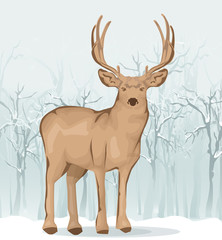Reindeer illustration