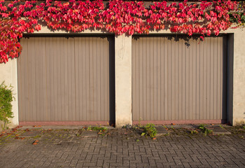 old garage with red ivy