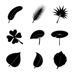 Tropical leaf icon