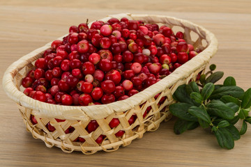 Cowberry