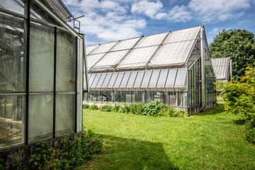 Fototapeta na wymiar serra - greenhouse