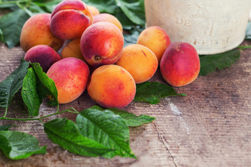 Fresh apricots