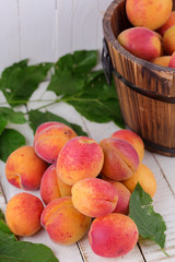 Fresh apricots