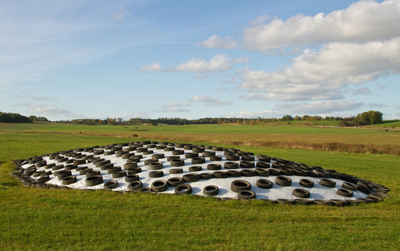 Silage Food.