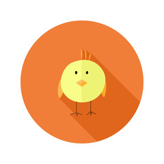Yellow Chicken Flat Icon over Orange