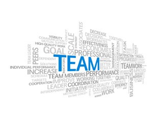 "TEAM" Tag Cloud (management performance teamwork excellence)
