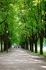 Pathway in park in Oslo