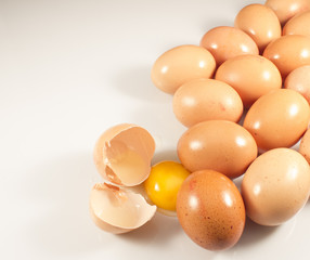 Eggs group isolated white background