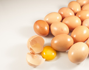 Eggs group isolated white background