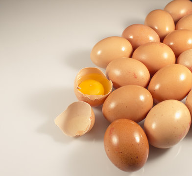 Eggs group isolated white background