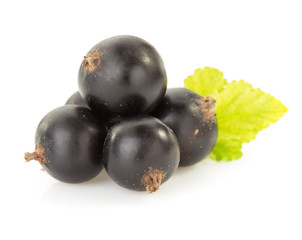 black currants on white