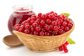 red currants on white