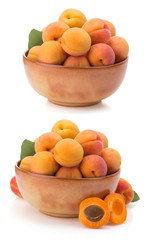 apricot on white background