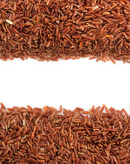 rice grain on white