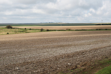 Sussex Farmland