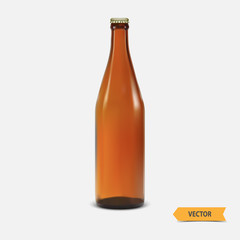 Blank glass beer bottle,vector