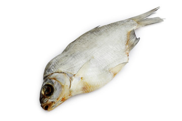 Bream, isolated