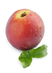 Ripe juicy nectarine, isolated