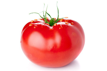 Red, fresh tomato on white background