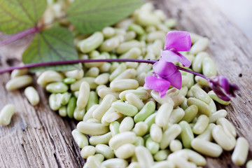 beans with a flower