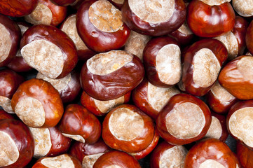 Chestnuts background