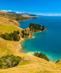 Afwasbaar Fotobehang Nieuw-Zeeland Blauw water bij Marlborough Sounds, Zuidereiland, Nieuw-Zeeland
