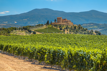 Castle overseeing Vineyard in Rows at a Tuscany Winery Estate, I - obrazy, fototapety, plakaty