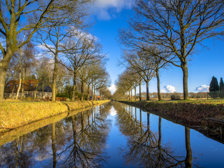 Row of Trees reflecting in a long Straight Canal in the Netherla © creativenature.nl