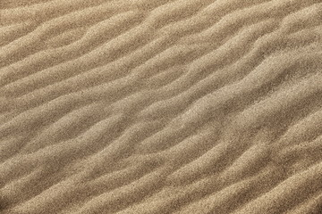 Golden fine grain beach sand wavy texture. Beach sand backdrop.