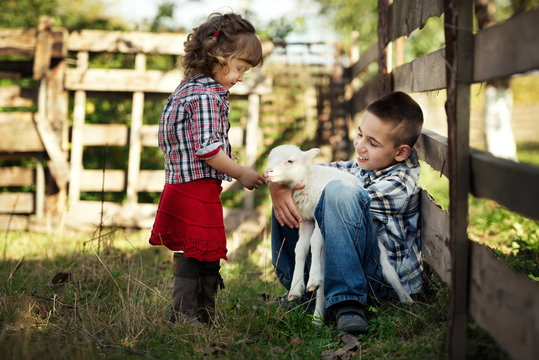 Children feeding little lamb