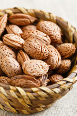 Fresh almonds