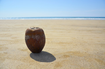 Кокосовый орех на песке