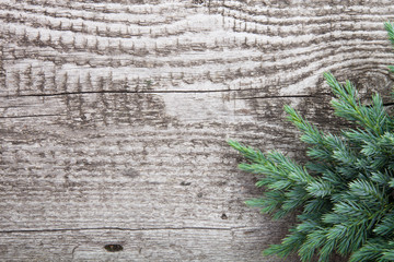Old wooden background with pine branch, image of flooring board - 71049844