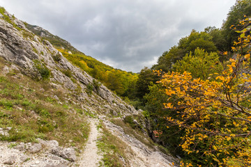 Fototapeta na wymiar Scenic hiking path in the mountains in autumn
