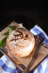 Fresh bread and fresh basil on tray on dark wooden background