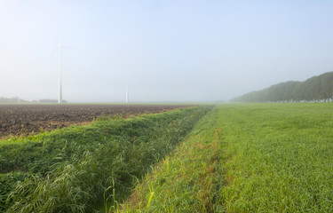 Wind turbine in a foggy field at dawn