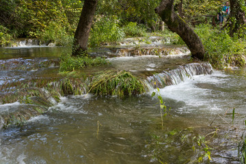For&ecirc;t inond&eacute;e et cascades
