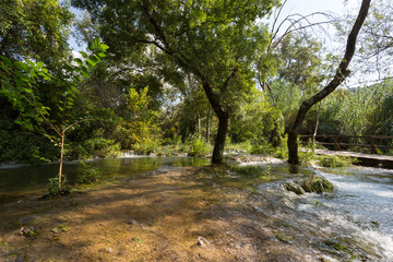 Fototapeta premium Forêt inondée à krka