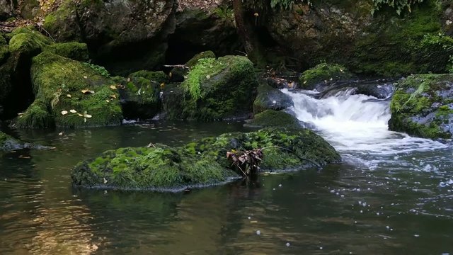 Triebtal im Vogtland Sachsen