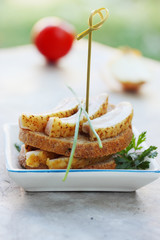 Ukrainian salo with onion