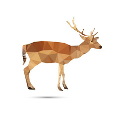 Deer abstract isolated on a white backgrounds, vector