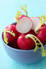 radishes in a blue bowl