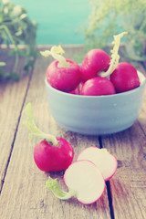 radishes for salad,tinted