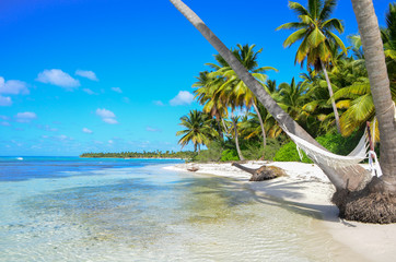 A hammock between palm trees on tropical beach