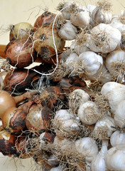 bio garlic and onions