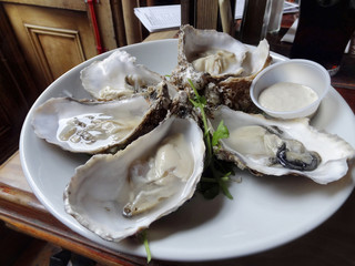 oysters on plate