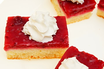 Currant cake with whipped cream close up