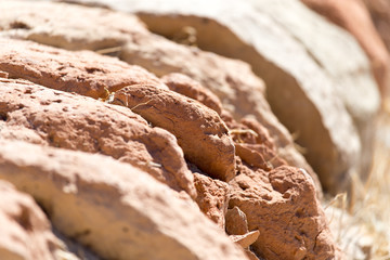 stone tiles of the ancient city Sauran, Kazakhstan.